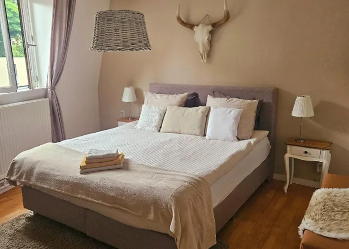 Serendipity 招待所 法尔肯堡