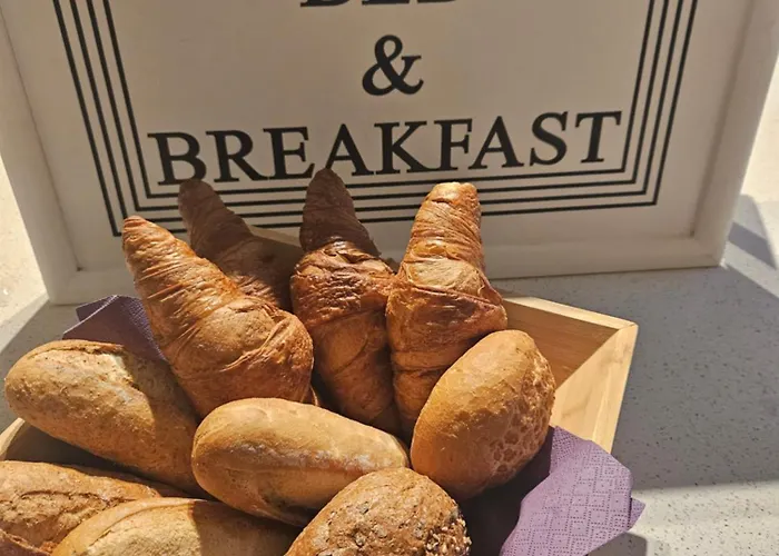 Serendipity 게스트하우스 팔켄뷔르흐안더횔