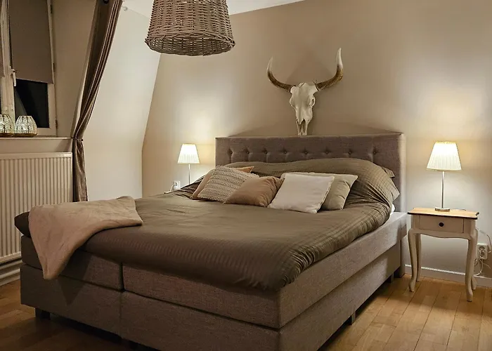 招待所 Serendipity *